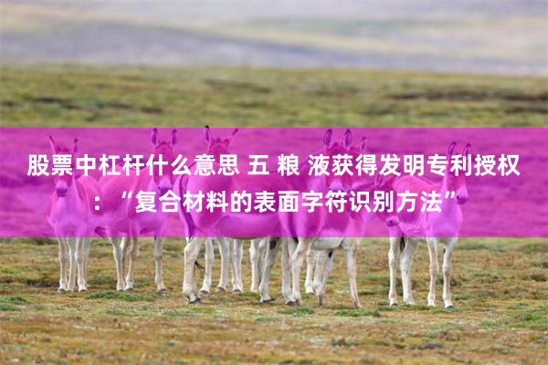 股票中杠杆什么意思 五 粮 液获得发明专利授权：“复合材料的表面字符识别方法”