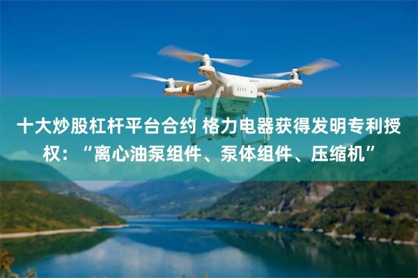 十大炒股杠杆平台合约 格力电器获得发明专利授权：“离心油泵组件、泵体组件、压缩机”