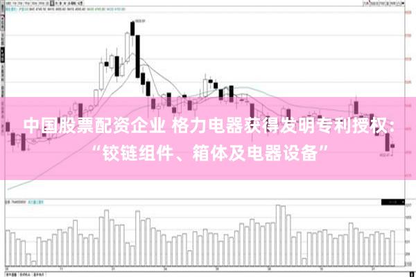 中国股票配资企业 格力电器获得发明专利授权：“铰链组件、箱体及电器设备”