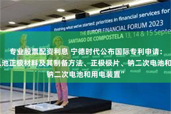 专业股票配资利息 宁德时代公布国际专利申请：“钠二次电池正极材料及其制备方法、正极极片、钠二次电池和用电装置”