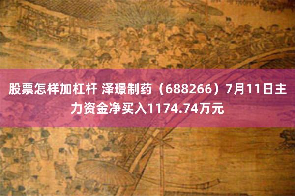 股票怎样加杠杆 泽璟制药（688266）7月11日主力资金净买入1174.74万元