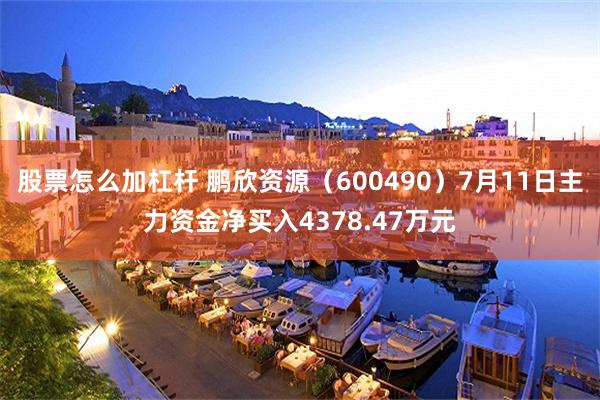 股票怎么加杠杆 鹏欣资源（600490）7月11日主力资金净买入4378.47万元