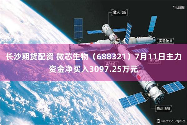 长沙期货配资 微芯生物（688321）7月11日主力资金净买入3097.25万元