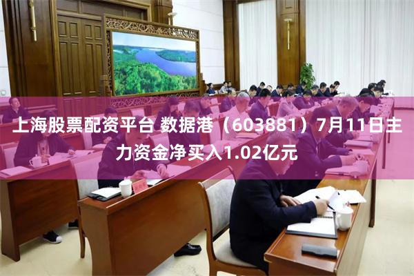 上海股票配资平台 数据港（603881）7月11日主力资金净买入1.02亿元
