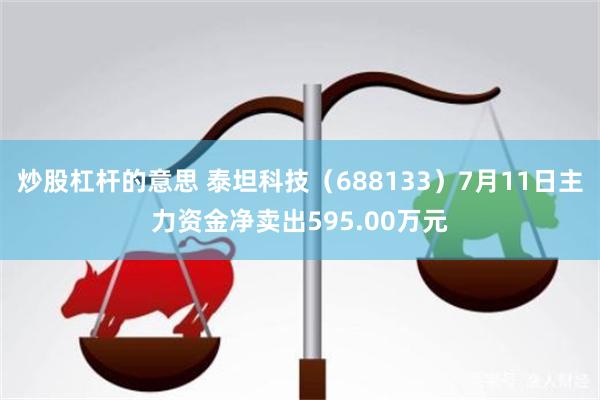 炒股杠杆的意思 泰坦科技（688133）7月11日主力资金净卖出595.00万元