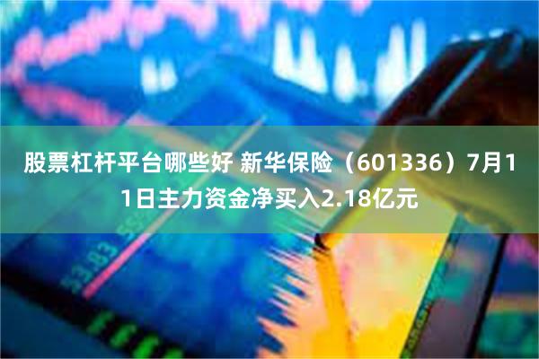 股票杠杆平台哪些好 新华保险（601336）7月11日主力资金净买入2.18亿元