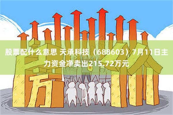 股票配什么意思 天承科技（688603）7月11日主力资金净卖出215.72万元
