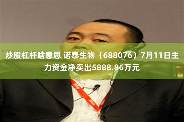 炒股杠杆啥意思 诺泰生物（688076）7月11日主力资金净卖出5888.86万元