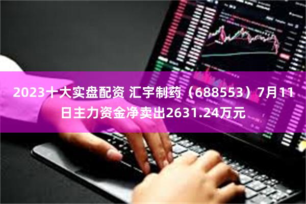 2023十大实盘配资 汇宇制药（688553）7月11日主力资金净卖出2631.24万元