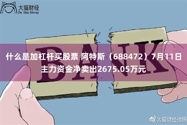 什么是加杠杆买股票 阿特斯（688472）7月11日主力资金净卖出2675.05万元