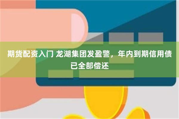 期货配资入门 龙湖集团发盈警，年内到期信用债已全部偿还