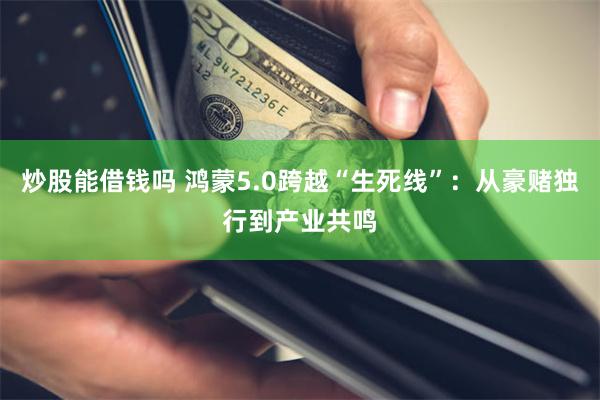 炒股能借钱吗 鸿蒙5.0跨越“生死线”：从豪赌独行到产业共鸣