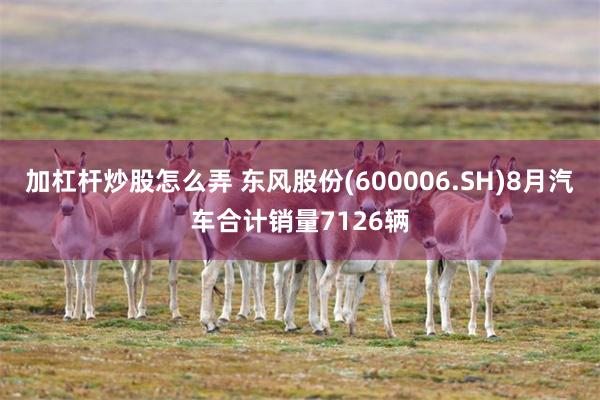 加杠杆炒股怎么弄 东风股份(600006.SH)8月汽车合计销量7126辆