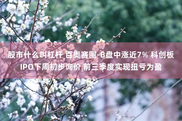 股市什么叫杠杆 百奥赛图-B盘中涨近7% 科创板IPO下周初步询价 前三季度实现扭亏为盈