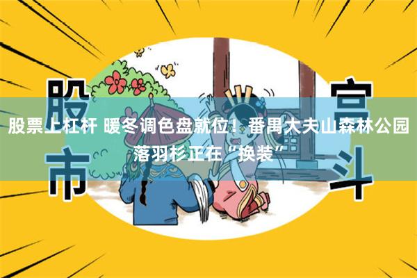 股票上杠杆 暖冬调色盘就位！番禺大夫山森林公园落羽杉正在“换装”
