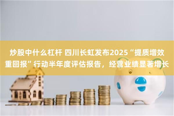 炒股中什么杠杆 四川长虹发布2025“提质增效重回报”行动半年度评估报告，经营业绩显著增长