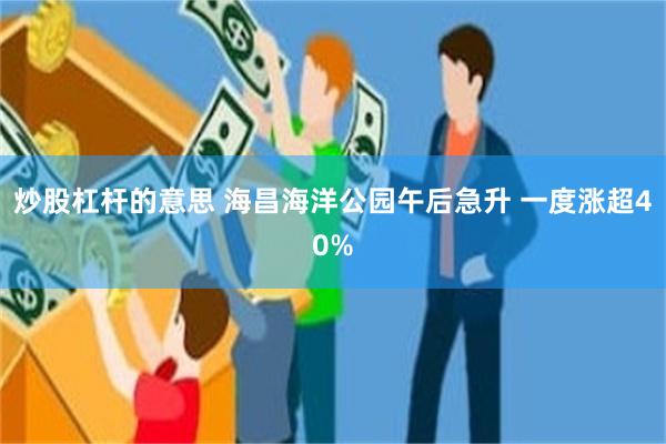 炒股杠杆的意思 海昌海洋公园午后急升 一度涨超40%