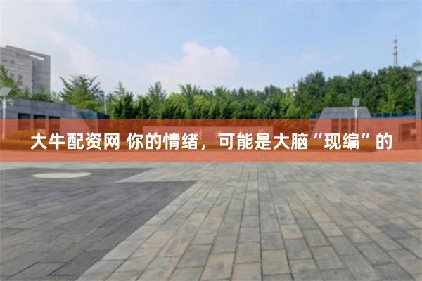大牛配资网 你的情绪，可能是大脑“现编”的