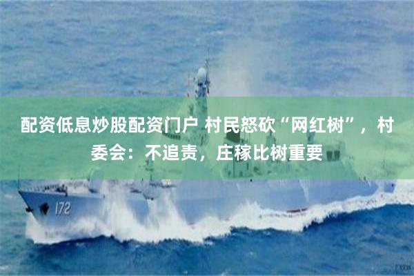 配资低息炒股配资门户 村民怒砍“网红树”，村委会：不追责，庄稼比树重要