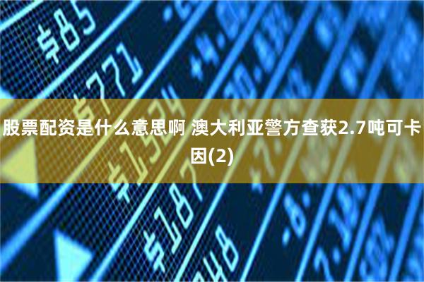 股票配资是什么意思啊 澳大利亚警方查获2.7吨可卡因(2)