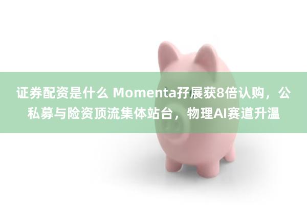 证券配资是什么 Momenta孖展获8倍认购，公私募与险资顶流集体站台，物理AI赛道升温