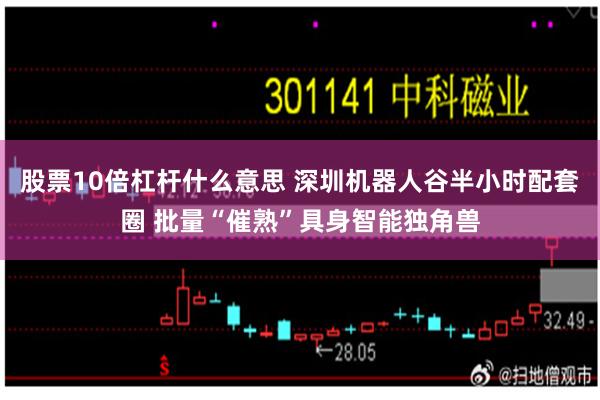 股票10倍杠杆什么意思 深圳机器人谷半小时配套圈 批量“催熟”具身智能独角兽