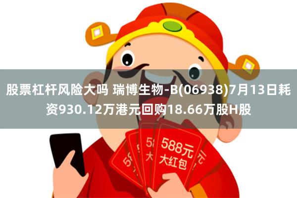 股票杠杆风险大吗 瑞博生物-B(06938)7月13日耗资930.12万港元回购18.66万股H股