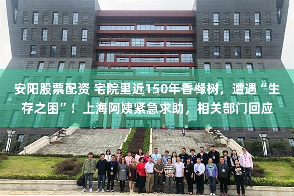 安阳股票配资 宅院里近150年香橼树，遭遇“生存之困”！上海阿姨紧急求助，相关部门回应