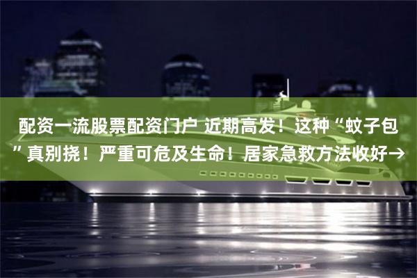 配资一流股票配资门户 近期高发！这种“蚊子包”真别挠！严重可危及生命！居家急救方法收好→