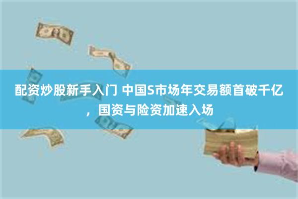 配资炒股新手入门 中国S市场年交易额首破千亿，国资与险资加速入场