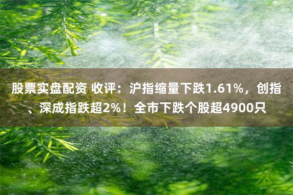 股票实盘配资 收评：沪指缩量下跌1.61%，创指、深成指跌超2%！全市下跌个股超4900只