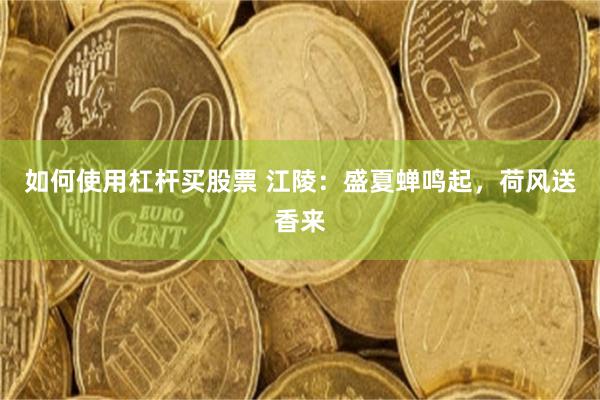 如何使用杠杆买股票 江陵：盛夏蝉鸣起，荷风送香来