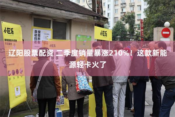 辽阳股票配资 二季度销量暴涨210%！这款新能源轻卡火了