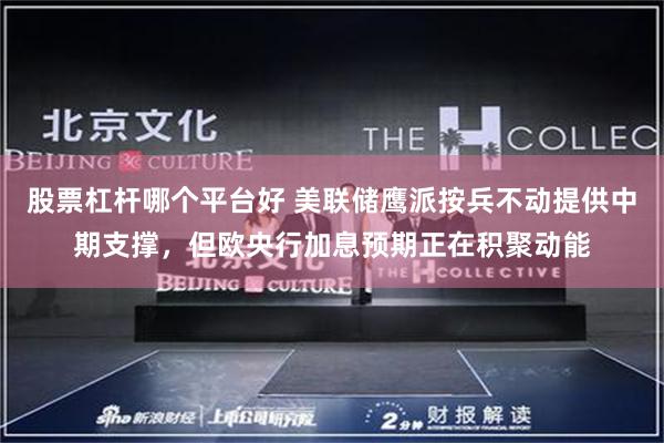 股票杠杆哪个平台好 美联储鹰派按兵不动提供中期支撑，但欧央行加息预期正在积聚动能