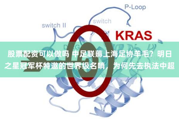 股票配资可以做吗 中足联薅上海足协羊毛？明日之星冠军杯特邀的世界级名哨，为何先去执法中超