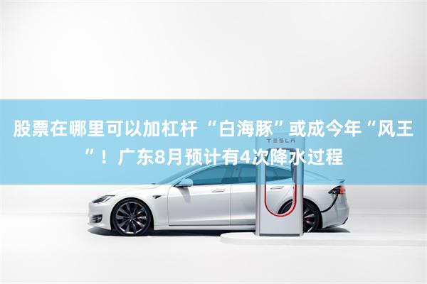 股票在哪里可以加杠杆 “白海豚”或成今年“风王”！广东8月预计有4次降水过程