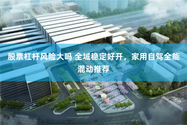 股票杠杆风险大吗 全域稳定好开，家用自驾全能混动推荐
