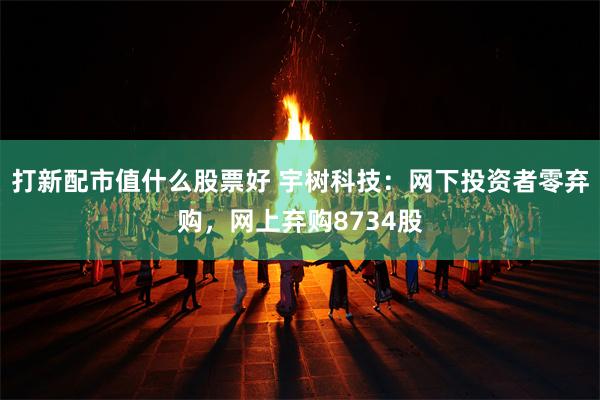 打新配市值什么股票好 宇树科技：网下投资者零弃购，网上弃购8734股