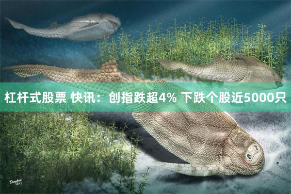 杠杆式股票 快讯：创指跌超4% 下跌个股近5000只
