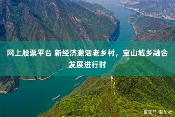网上股票平台 新经济激活老乡村，宝山城乡融合发展进行时