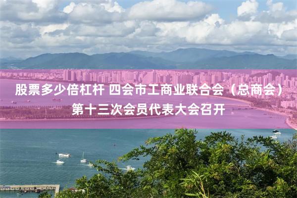 股票多少倍杠杆 四会市工商业联合会（总商会）第十三次会员代表大会召开