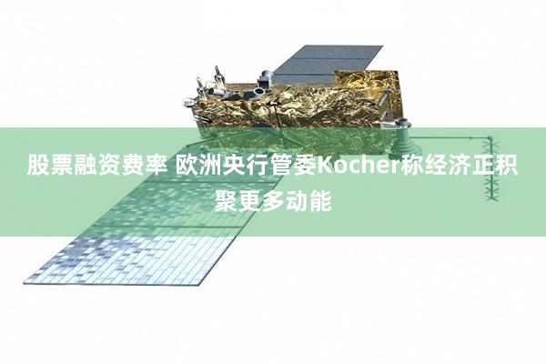 股票融资费率 欧洲央行管委Kocher称经济正积聚更多动能