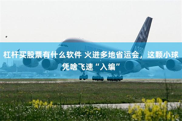 杠杆买股票有什么软件 火进多地省运会，这颗小球凭啥飞速“入编”