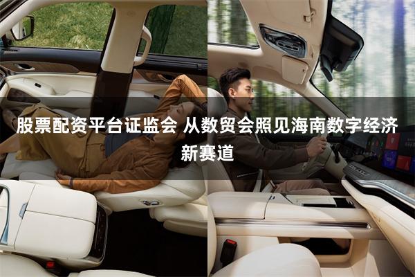 股票配资平台证监会 从数贸会照见海南数字经济新赛道