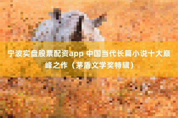 宁波实盘股票配资app 中国当代长篇小说十大巅峰之作(茅盾文学奖特辑)