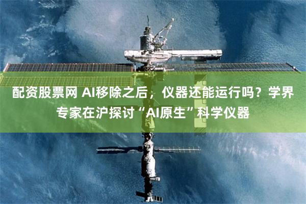 配资股票网 AI移除之后，仪器还能运行吗？学界专家在沪探讨“AI原生”科学仪器