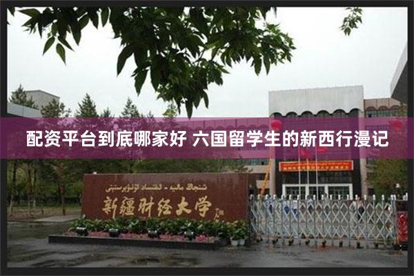 配资平台到底哪家好 六国留学生的新西行漫记
